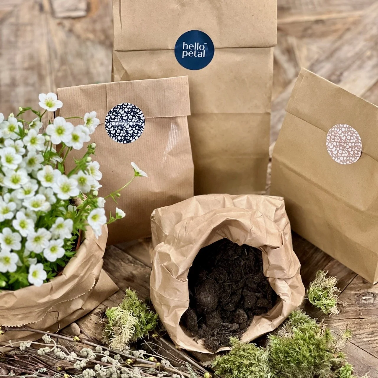 Hello petal flowers deals